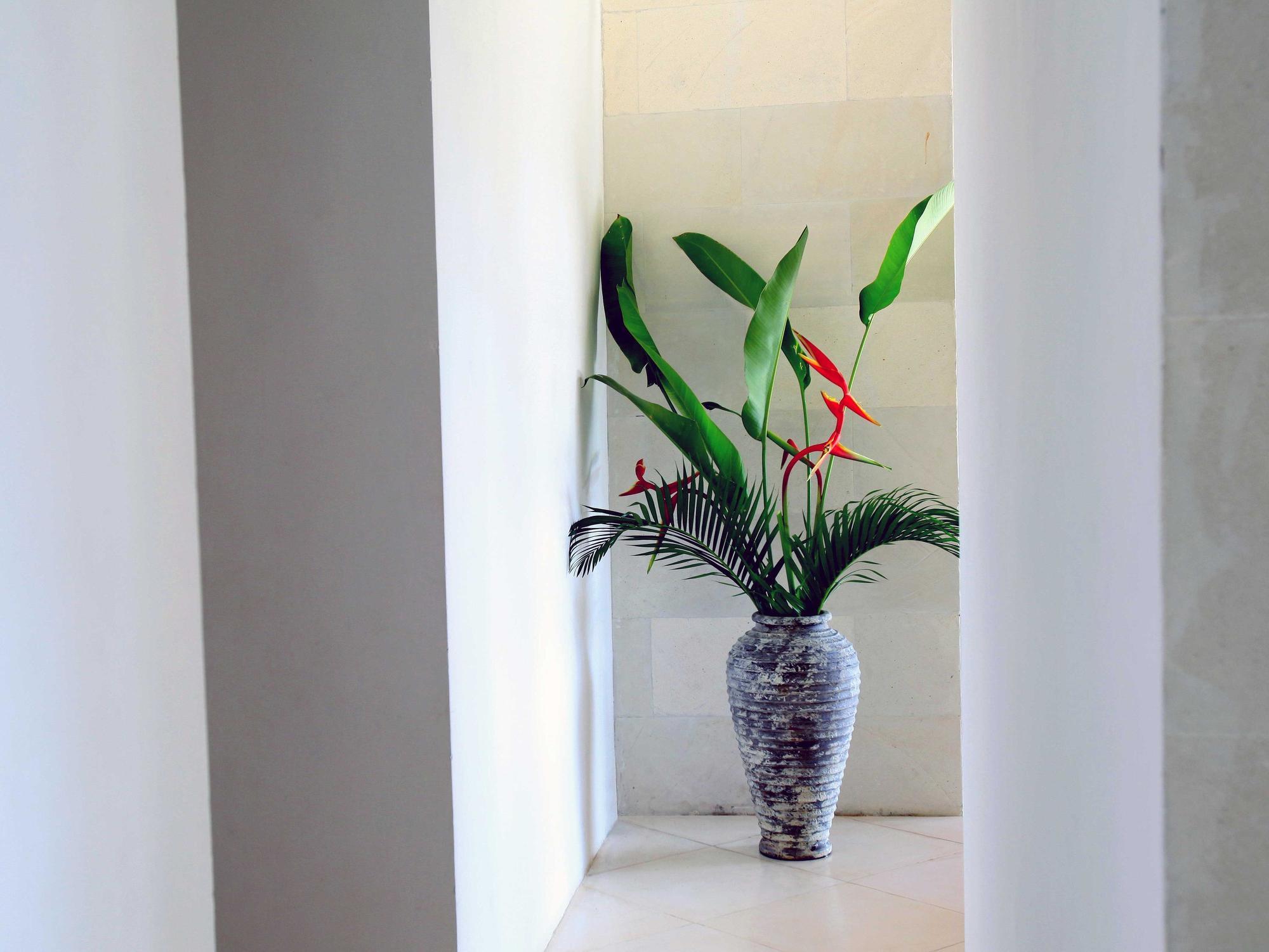 Jeda Villa Modern Stylish Luxury Villa Pemuteran  Exterior photo